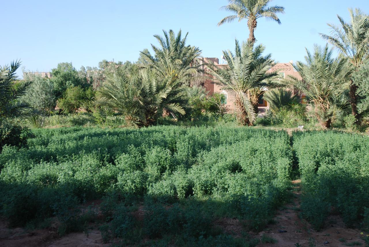 D'Hote Jnane-Dar Diafa Tamgrout Exterior foto