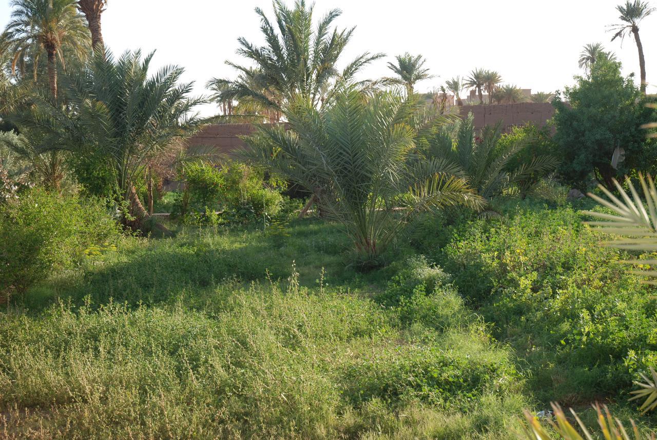 D'Hote Jnane-Dar Diafa Tamgrout Exterior foto