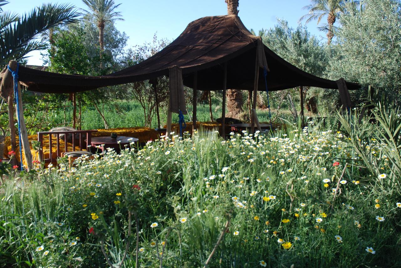 D'Hote Jnane-Dar Diafa Tamgrout Exterior foto